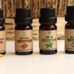 Tinh dầu xông giải cảm